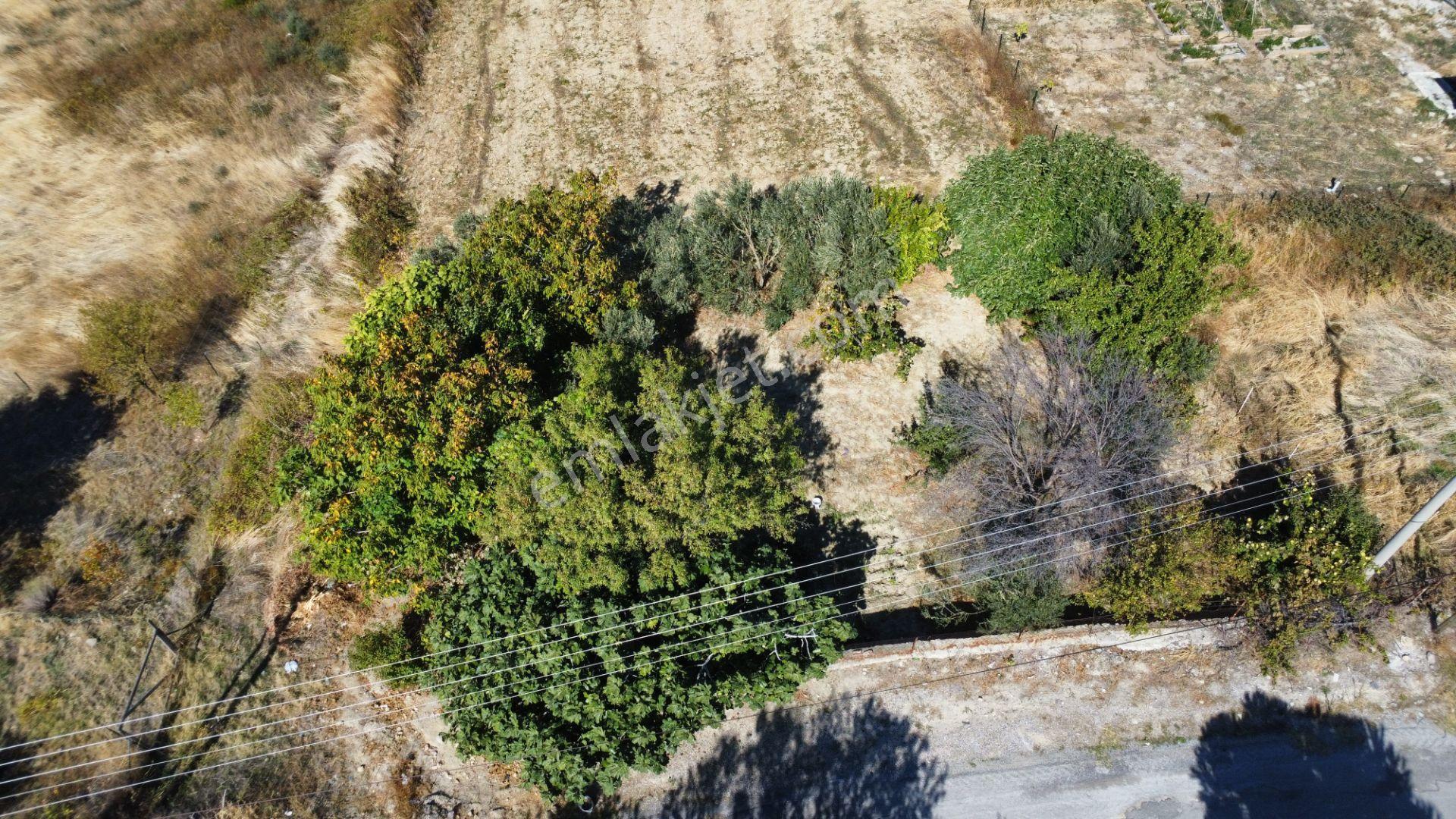 Erenköyde Kapanmaz Deniz Ve Abide Manzaralı 433 M2 Arsa — fotoğraf 18
