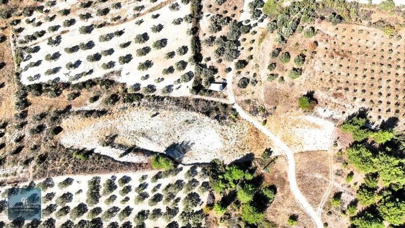Manisa Saruhanlı Pınarbaşı Köyünde Satılık 5.286m²müstakil Tarla — fotoğraf 3