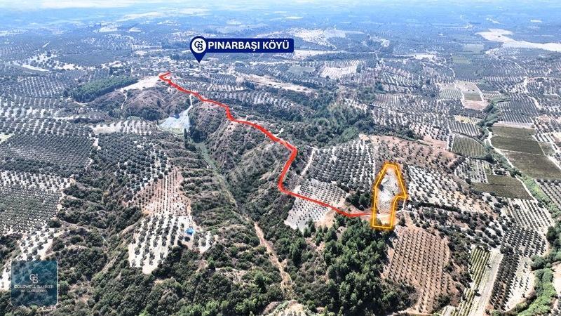 Manisa Saruhanlı Pınarbaşı Köyünde Satılık 5.286m²müstakil Tarla — fotoğraf 4