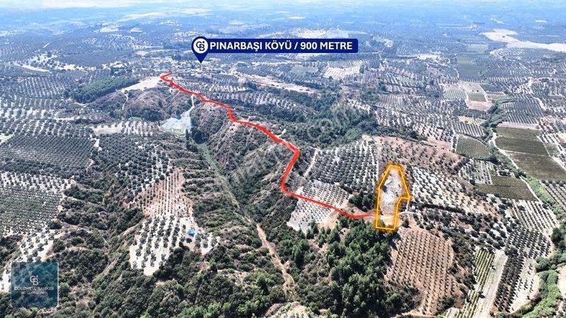 Manisa Saruhanlı Pınarbaşı Köyünde Satılık 5.286m²müstakil Tarla — fotoğraf 5