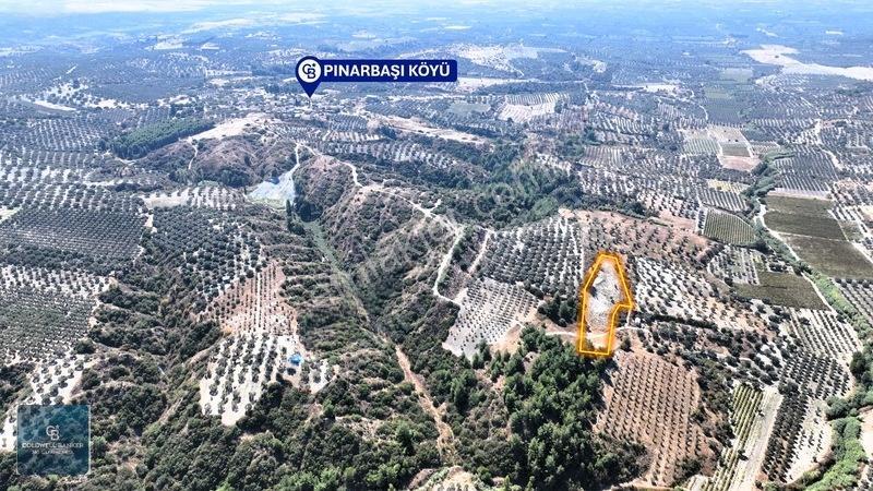 Manisa Saruhanlı Pınarbaşı Köyünde Satılık 5.286m²müstakil Tarla — fotoğraf 6