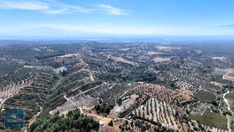Manisa Saruhanlı Pınarbaşı Köyünde Satılık 5.286m²müstakil Tarla — fotoğraf 7