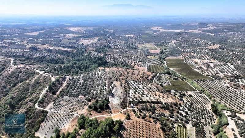 Manisa Saruhanlı Pınarbaşı Köyünde Satılık 5.286m²müstakil Tarla — fotoğraf 8