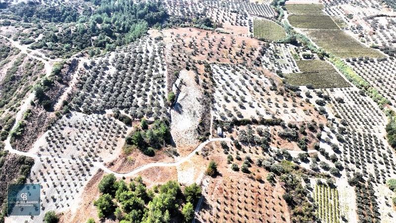 Manisa Saruhanlı Pınarbaşı Köyünde Satılık 5.286m²müstakil Tarla — fotoğraf 9