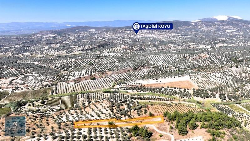 Manisa Saruhanlı Pınarbaşı Köyünde Satılık 5.286m²müstakil Tarla — fotoğraf 11