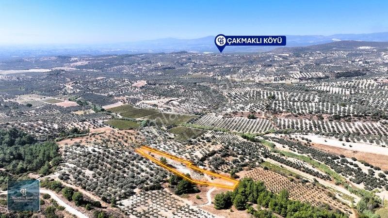 Manisa Saruhanlı Pınarbaşı Köyünde Satılık 5.286m²müstakil Tarla — fotoğraf 12