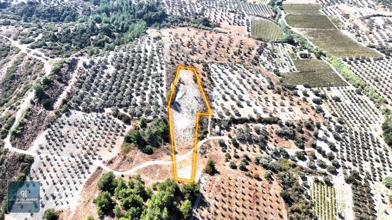 Manisa Saruhanlı Pınarbaşı Köyünde Satılık 5.286m²müstakil Tarla — fotoğraf 13
