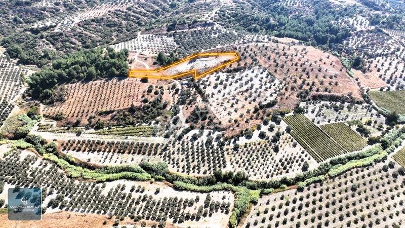 Manisa Saruhanlı Pınarbaşı Köyünde Satılık 5.286m²müstakil Tarla — fotoğraf 14