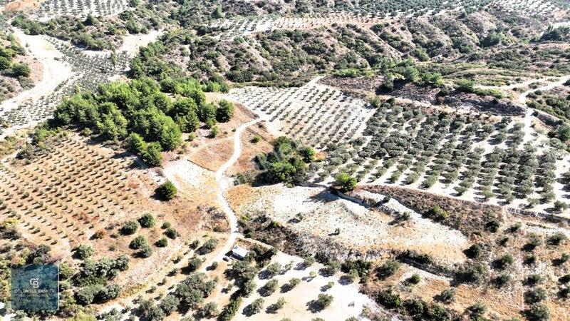 Manisa Saruhanlı Pınarbaşı Köyünde Satılık 5.286m²müstakil Tarla — fotoğraf 17