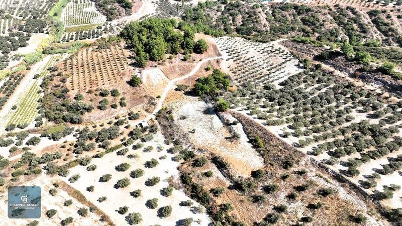 Manisa Saruhanlı Pınarbaşı Köyünde Satılık 5.286m²müstakil Tarla — fotoğraf 18