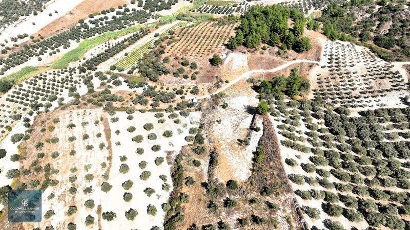 Manisa Saruhanlı Pınarbaşı Köyünde Satılık 5.286m²müstakil Tarla — fotoğraf 19