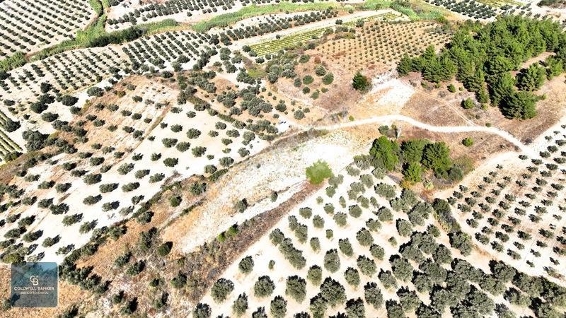 Manisa Saruhanlı Pınarbaşı Köyünde Satılık 5.286m²müstakil Tarla — fotoğraf 20