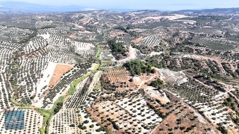 Manisa Saruhanlı Pınarbaşı Köyünde Satılık 5.286m²müstakil Tarla — fotoğraf 22