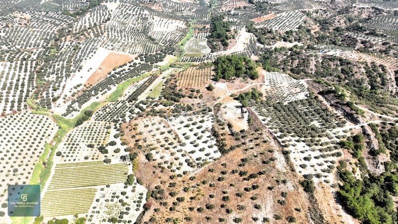 Manisa Saruhanlı Pınarbaşı Köyünde Satılık 5.286m²müstakil Tarla — fotoğraf 23
