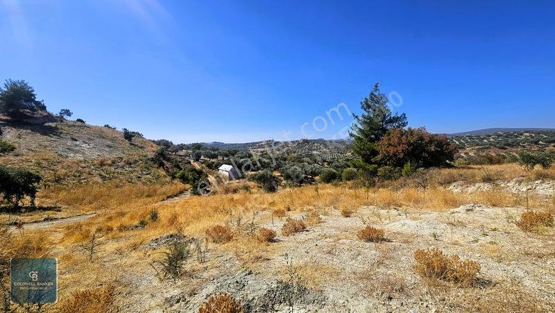 Manisa Saruhanlı Pınarbaşı Köyünde Satılık 5.286m²müstakil Tarla — fotoğraf 24