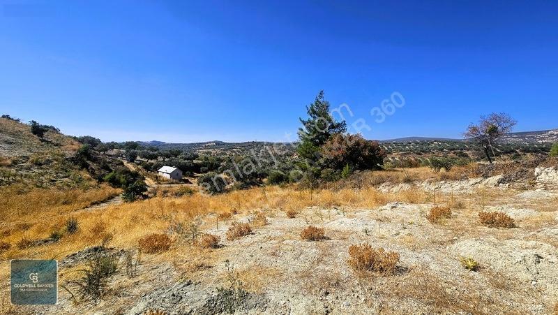 Manisa Saruhanlı Pınarbaşı Köyünde Satılık 5.286m²müstakil Tarla — fotoğraf 25
