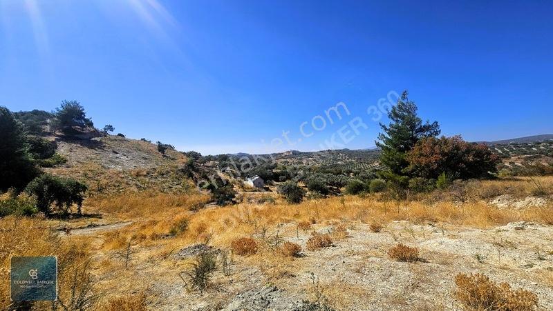 Manisa Saruhanlı Pınarbaşı Köyünde Satılık 5.286m²müstakil Tarla — fotoğraf 26