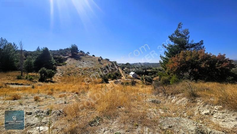 Manisa Saruhanlı Pınarbaşı Köyünde Satılık 5.286m²müstakil Tarla — fotoğraf 27