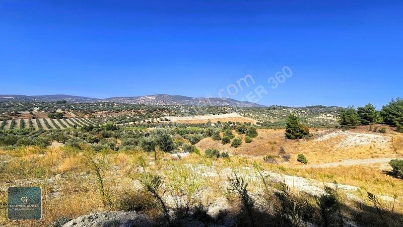 Manisa Saruhanlı Pınarbaşı Köyünde Satılık 5.286m²müstakil Tarla — fotoğraf 28