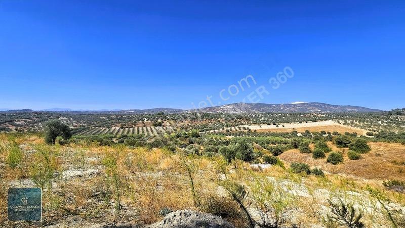 Manisa Saruhanlı Pınarbaşı Köyünde Satılık 5.286m²müstakil Tarla — fotoğraf 29
