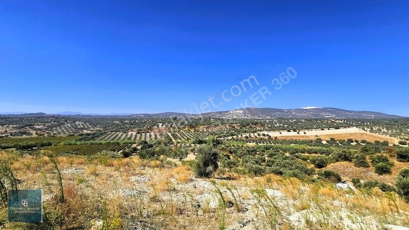 Manisa Saruhanlı Pınarbaşı Köyünde Satılık 5.286m²müstakil Tarla — fotoğraf 30