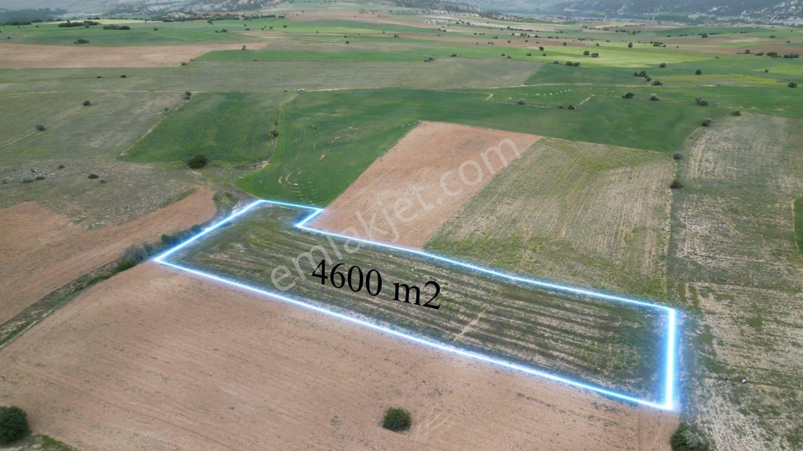 4,6 Dönüm Ekilebilir, Dümdüz Satılık Tarım Arazisi — fotoğraf 2