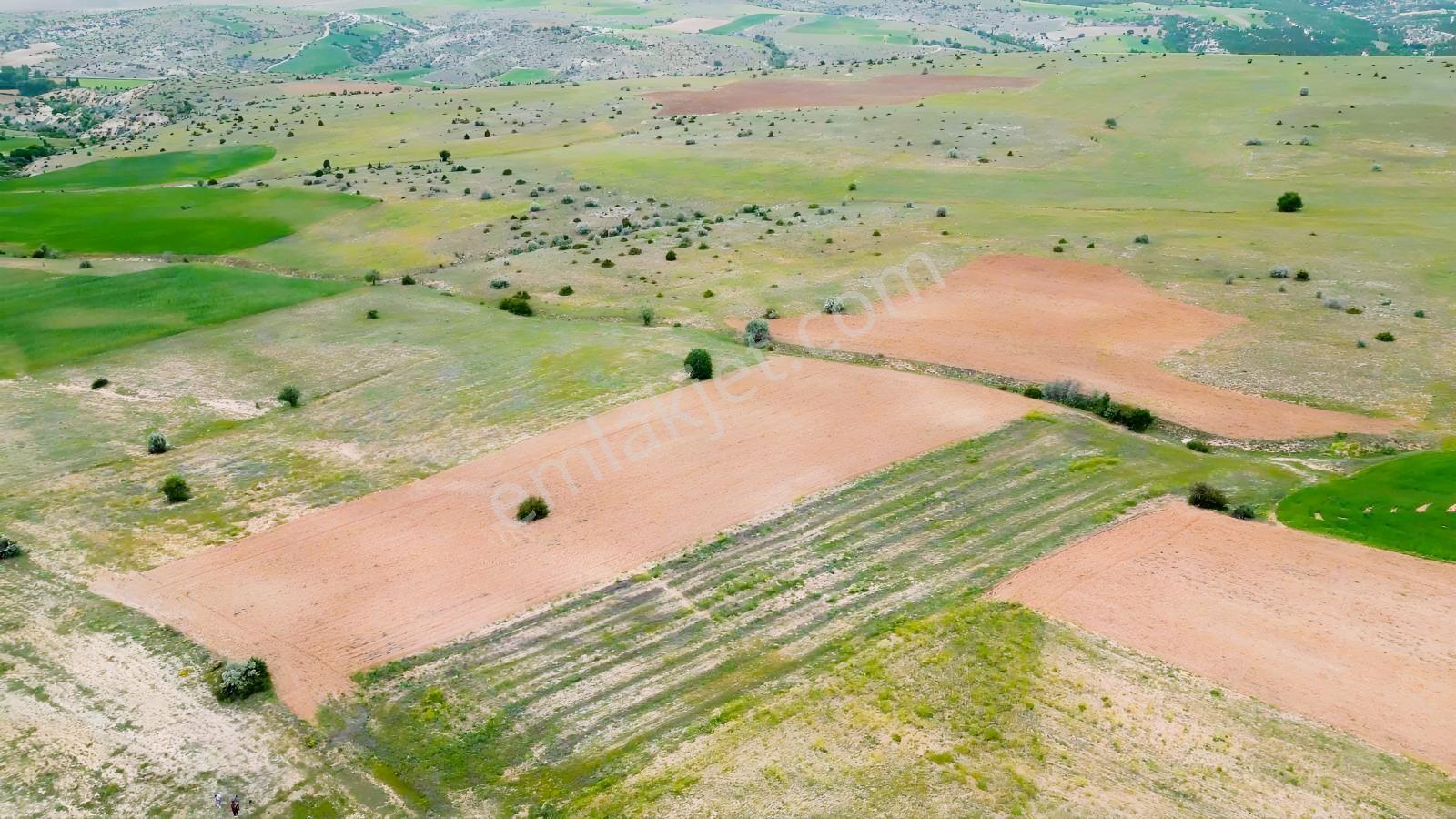 4,6 Dönüm Ekilebilir, Dümdüz Satılık Tarım Arazisi — fotoğraf 4