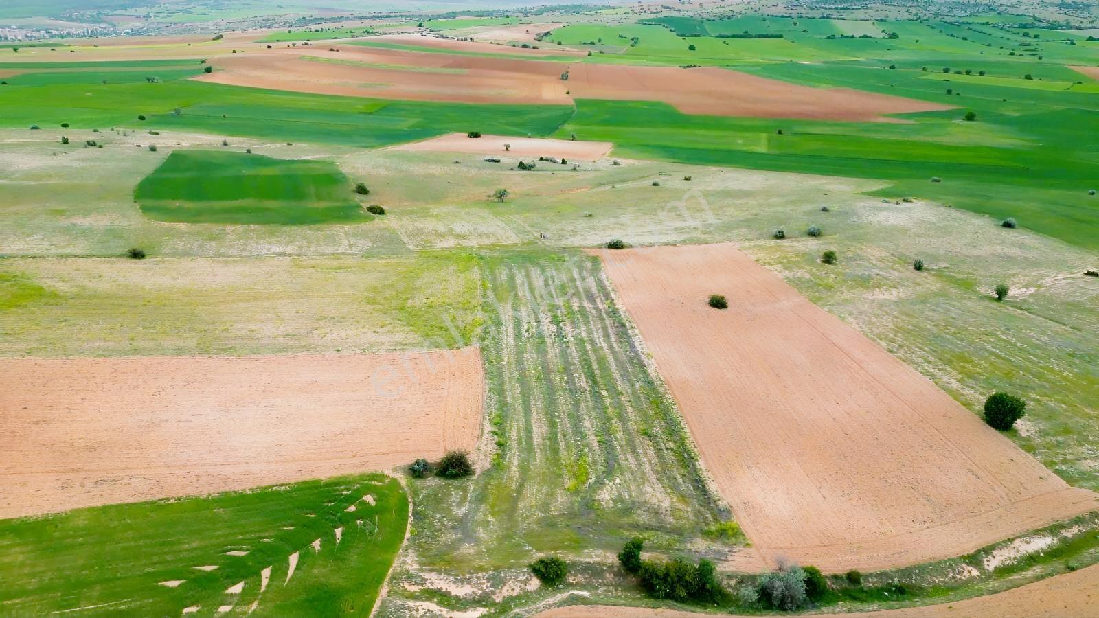 4,6 Dönüm Ekilebilir, Dümdüz Satılık Tarım Arazisi — fotoğraf 5