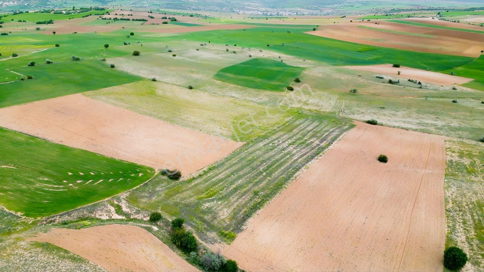 4,6 Dönüm Ekilebilir, Dümdüz Satılık Tarım Arazisi — fotoğraf 6