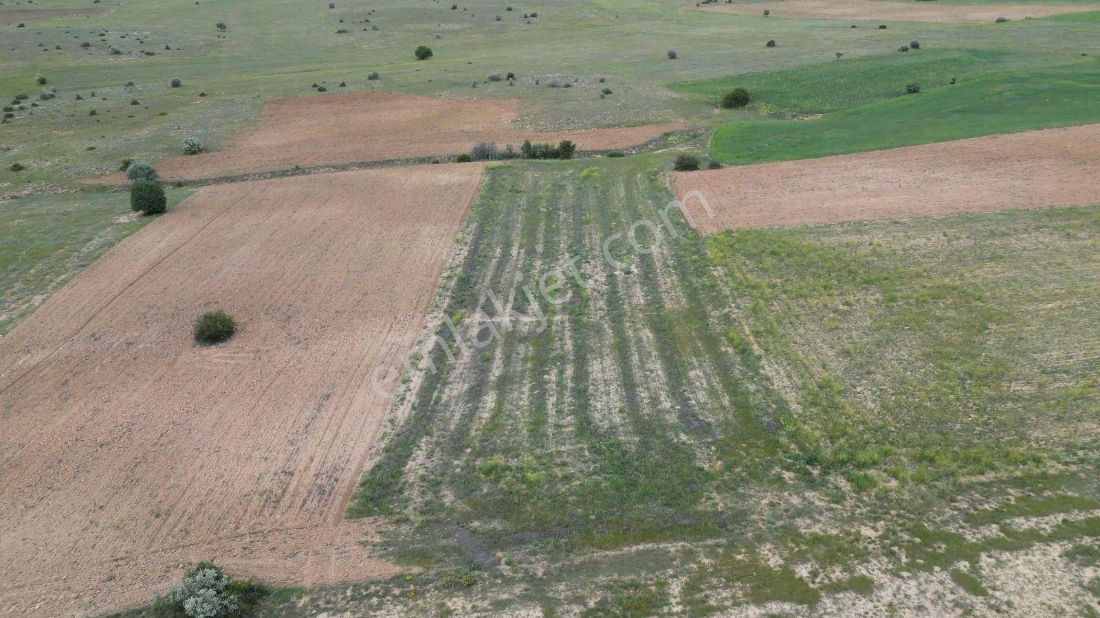 4,6 Dönüm Ekilebilir, Dümdüz Satılık Tarım Arazisi — fotoğraf 8