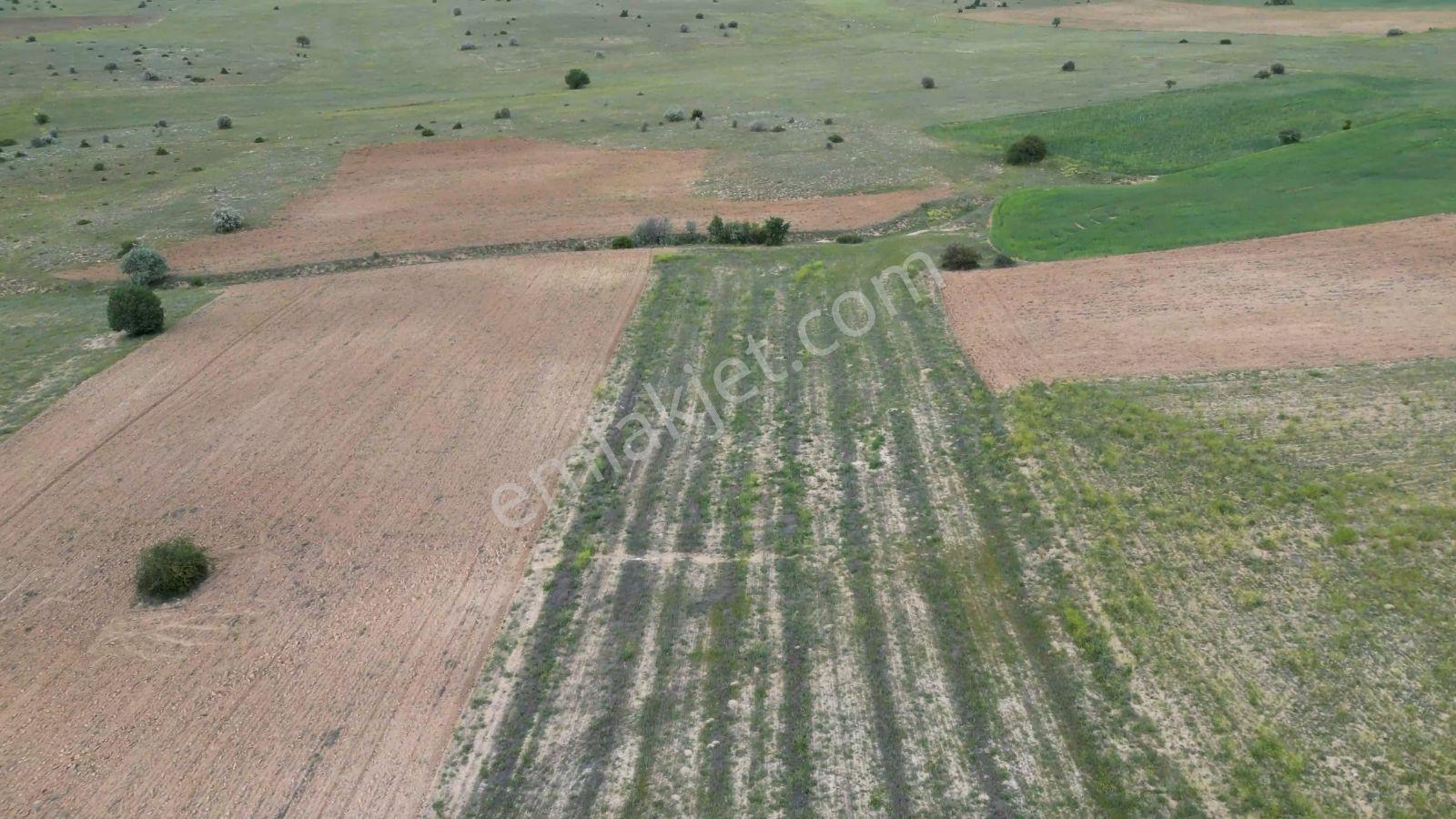 4,6 Dönüm Ekilebilir, Dümdüz Satılık Tarım Arazisi — fotoğraf 9