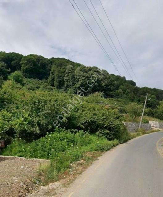 Nur Emlaktan Taşburun Mh.de 1.800 M2 %40 2kat Konut İmarlı Arsa — fotoğraf 5