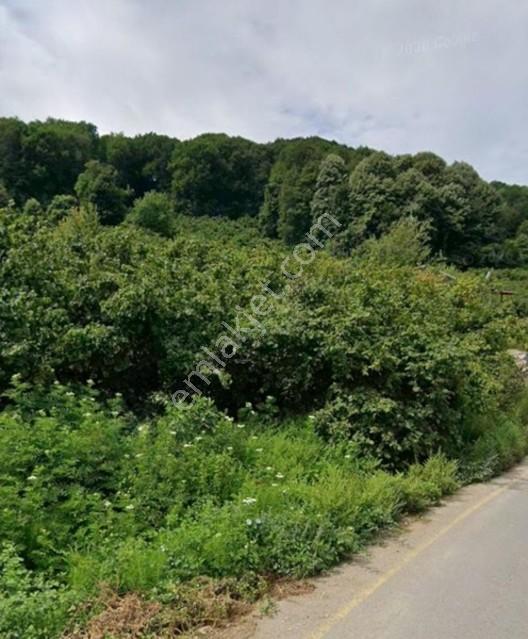 Nur Emlaktan Taşburun Mh.de 1.800 M2 %40 2kat Konut İmarlı Arsa — fotoğraf 6