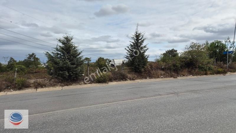 Tuzla Tepeören'de Satılık Gişelere Yakın Konumda 29.150 M² Arsa — fotoğraf 4