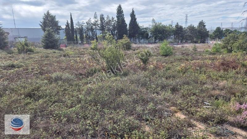 Tuzla Tepeören'de Satılık Gişelere Yakın Konumda 29.150 M² Arsa — fotoğraf 14
