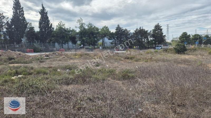Tuzla Tepeören'de Satılık Gişelere Yakın Konumda 29.150 M² Arsa — fotoğraf 15