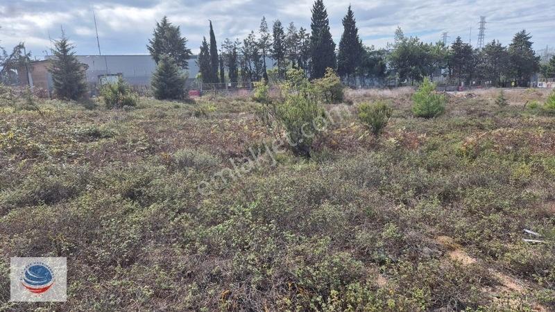 Tuzla Tepeören'de Satılık Gişelere Yakın Konumda 29.150 M² Arsa — fotoğraf 19