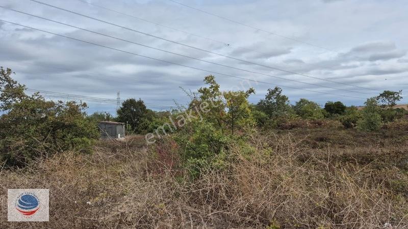 Tuzla Tepeören'de Satılık Gişelere Yakın Konumda 29.150 M² Arsa — fotoğraf 23