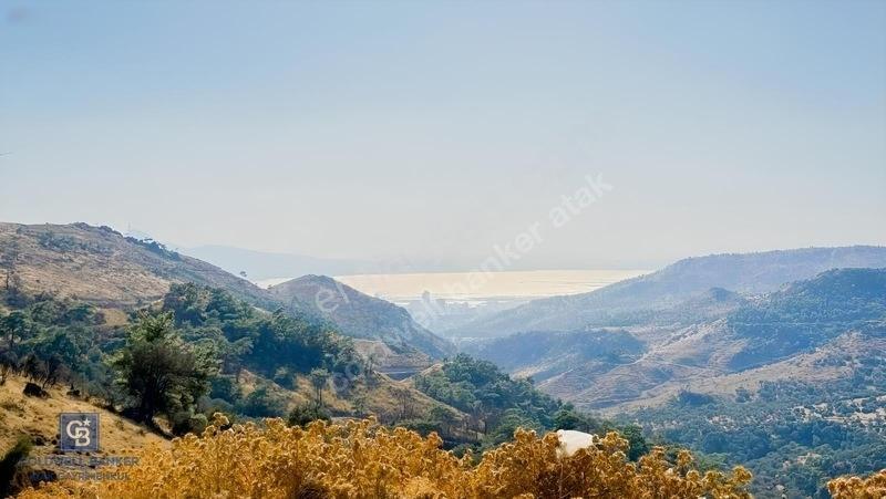 Karşıyaka'Ya Yamanlarda 3781M Zeytinlik