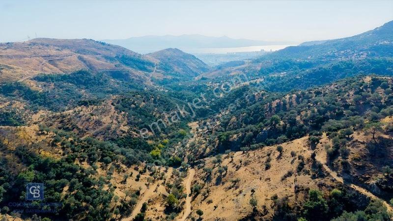 Karşıyaka'ya Yamanlarda 3781m Zeytinlik — fotoğraf 6