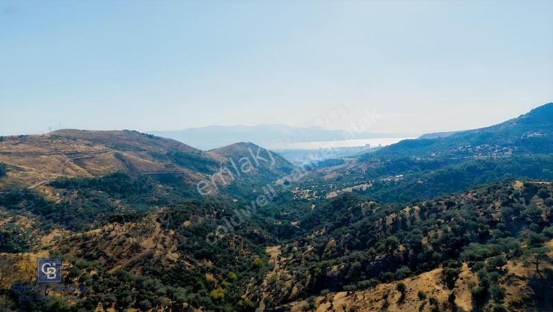 Karşıyaka'ya Yamanlarda 3781m Zeytinlik — fotoğraf 7