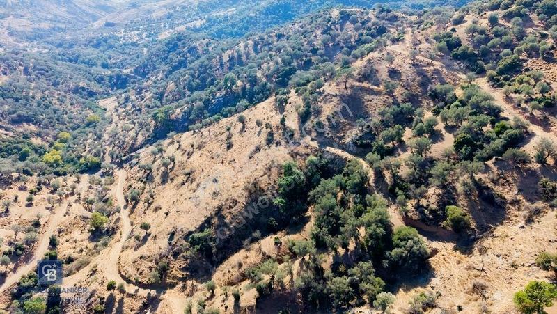 Karşıyaka'ya Yamanlarda 3781m Zeytinlik — fotoğraf 8