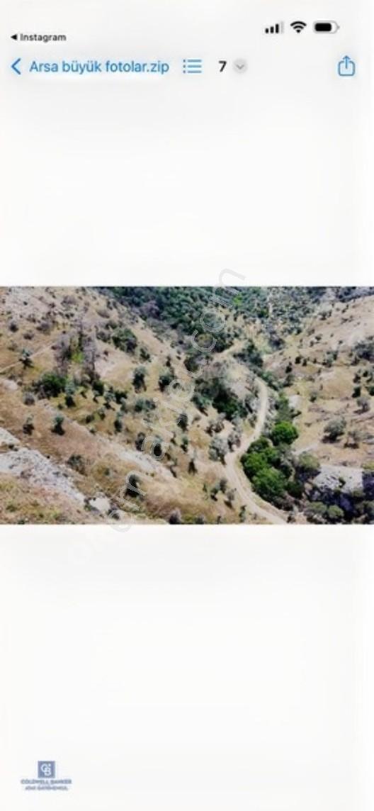 Karşıyaka'ya Yamanlarda 3781m Zeytinlik — fotoğraf 12