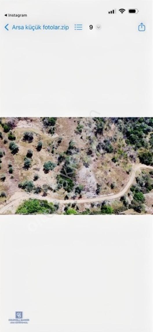 Karşıyaka'ya Yamanlarda 3781m Zeytinlik — fotoğraf 13