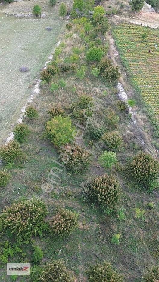 Emlak Z'den Toroslar Arslanköyde Fırsat Satılık Bahçe — fotoğraf 8