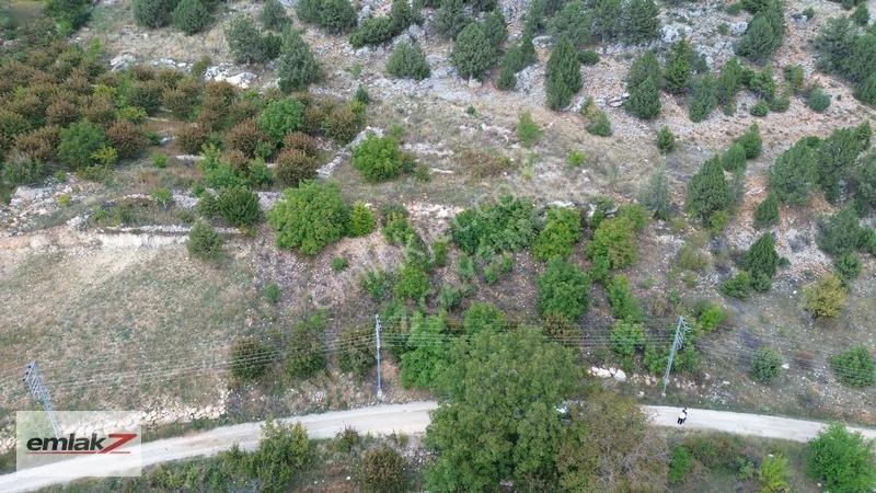 Emlak Z'den Toroslar Arslanköyde Fırsat Satılık Bahçe — fotoğraf 9