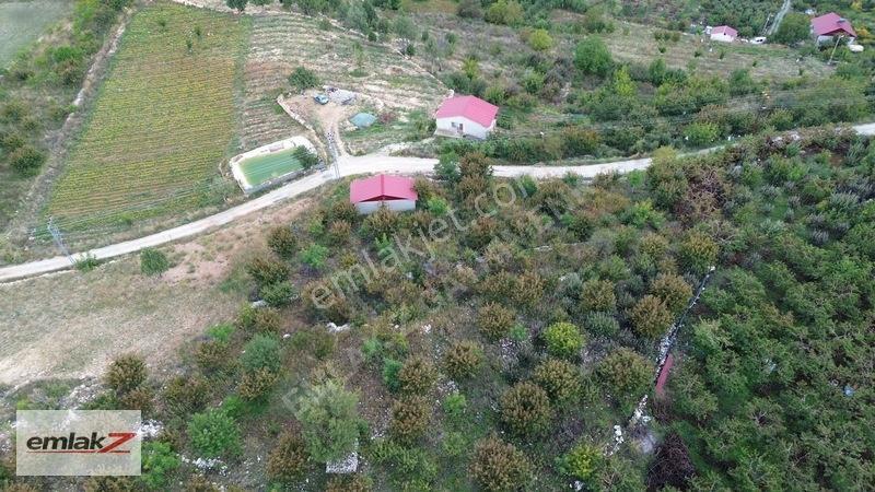 Emlak Z'den Toroslar Arslanköyde Fırsat Satılık Bahçe — fotoğraf 19