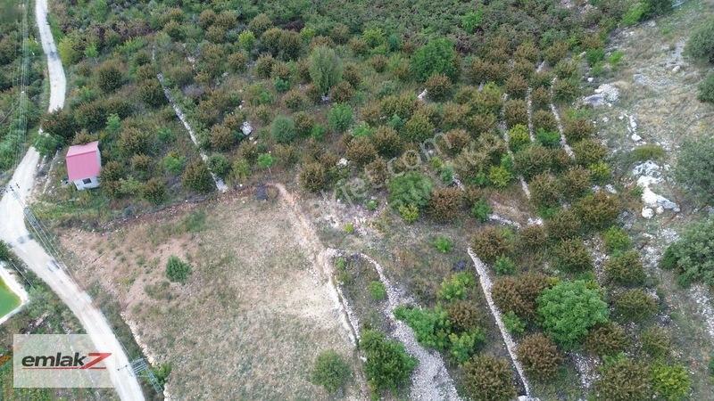 Emlak Z'den Toroslar Arslanköyde Fırsat Satılık Bahçe — fotoğraf 23