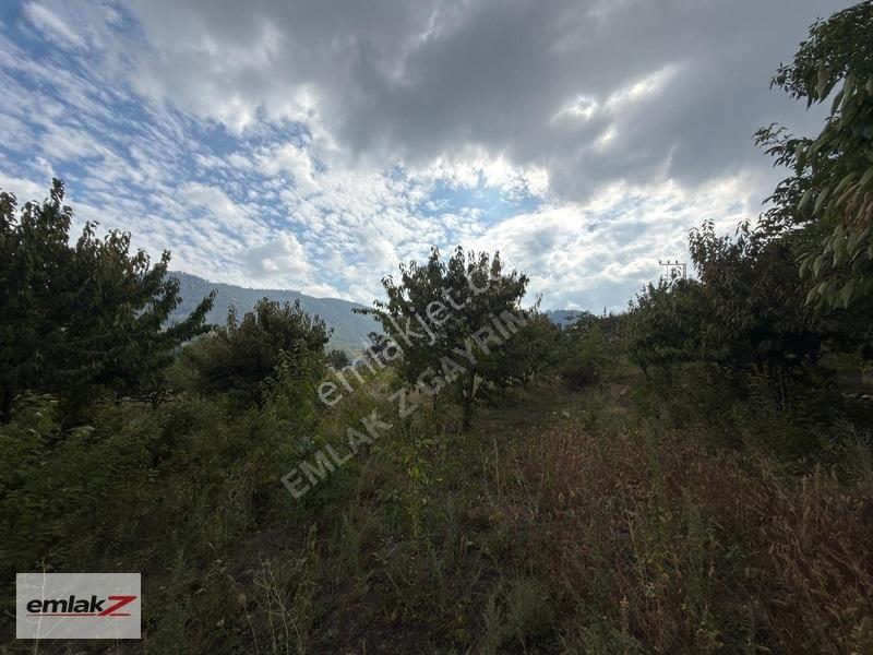 Emlak Z'den Toroslar Arslanköyde Fırsat Satılık Bahçe — fotoğraf 28