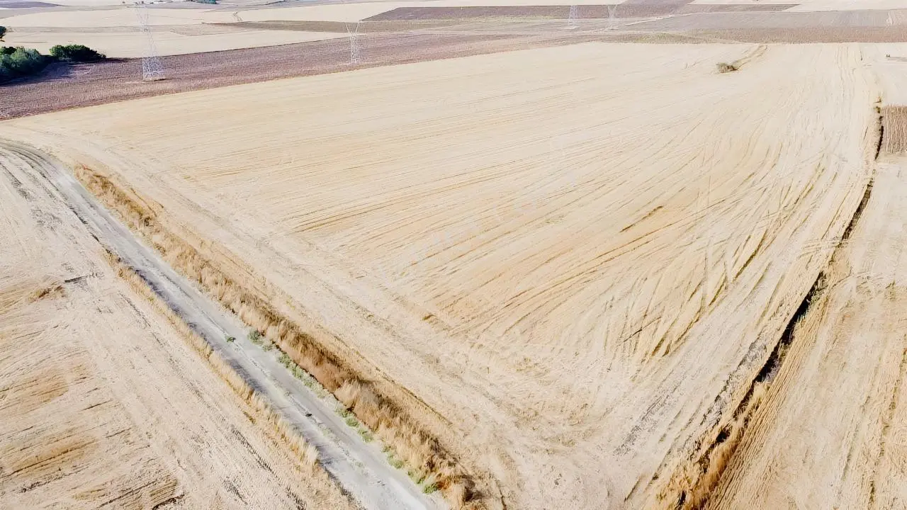 Kırklareli Pınarhisar Dere Köyünde 53 Dönüm Satılık Tarla — fotoğraf 2